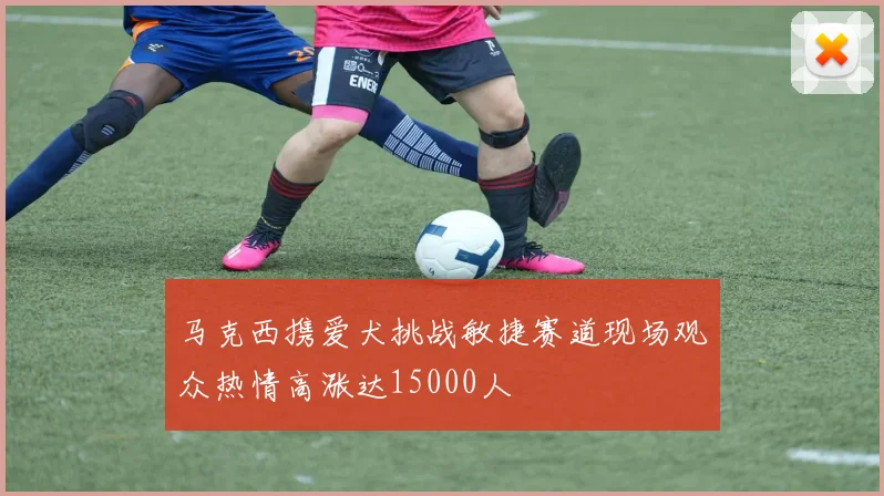 马克西携爱犬挑战敏捷赛道现场观众热情高涨达15000人