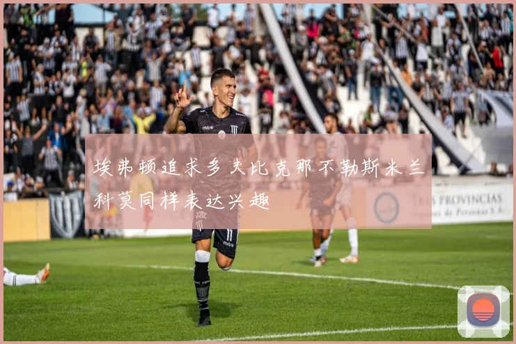 埃弗顿追求多夫比克那不勒斯米兰科莫同样表达兴趣